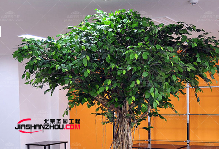 仿真树.png 仿真树