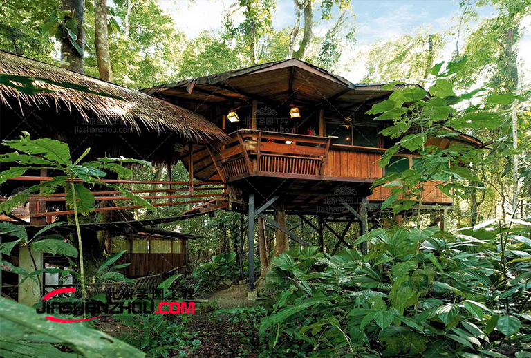 树屋民宿客栈.jpg 树屋民宿客栈