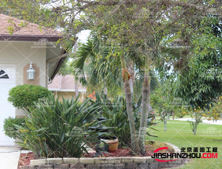 仿真树.jpg 仿真树