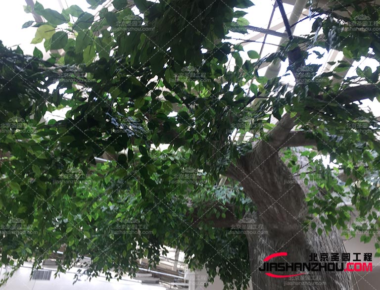 仿真树.jpg 仿真树