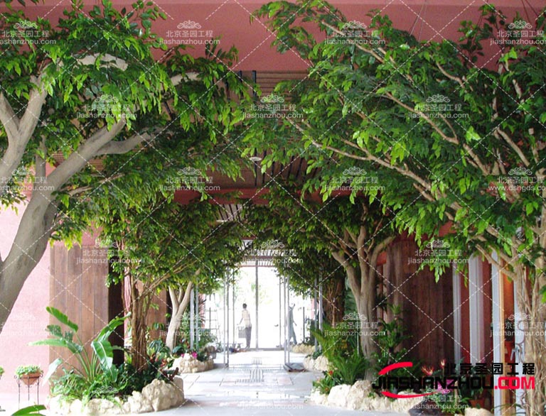 仿真树大门.jpg 仿真树大门