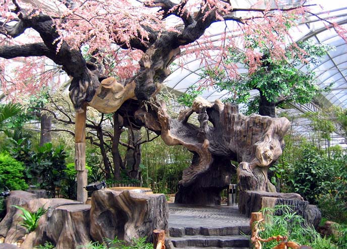 仿真树.jpg 仿真树