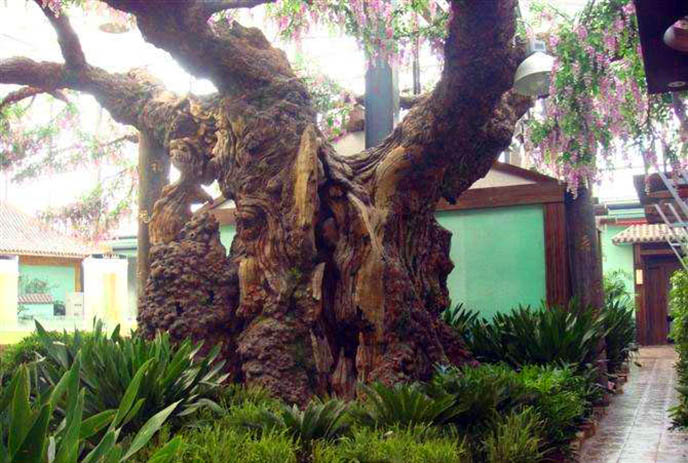 仿真树.jpg 仿真树