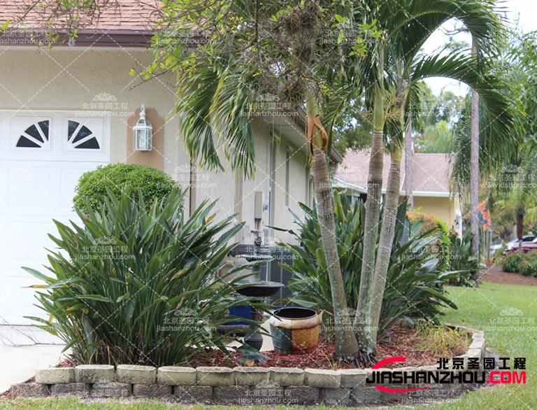 仿真树.jpg 仿真树