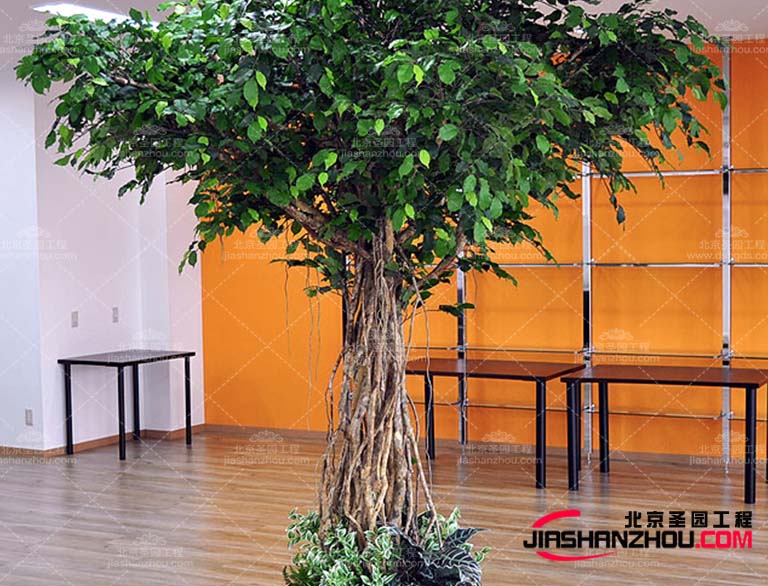 仿真树.jpg 仿真树