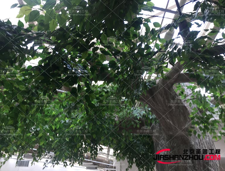 仿真树.jpg 仿真树