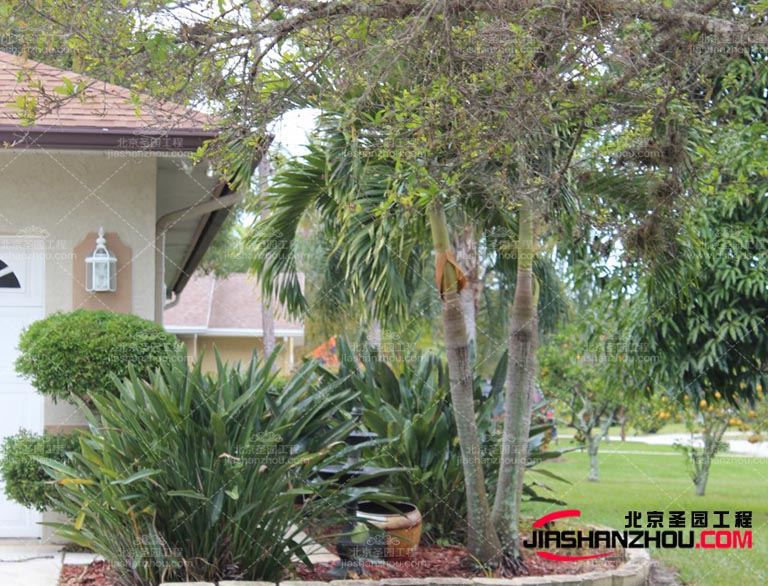 仿真树.jpg 仿真树