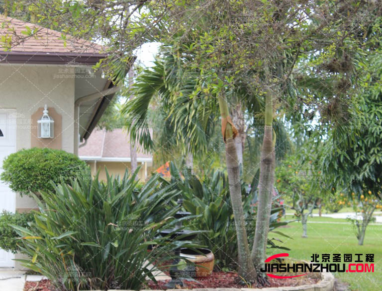 仿真树.jpg 仿真树