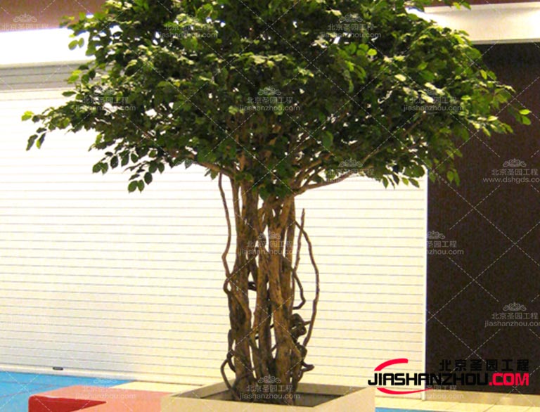 仿真树.jpg 仿真树