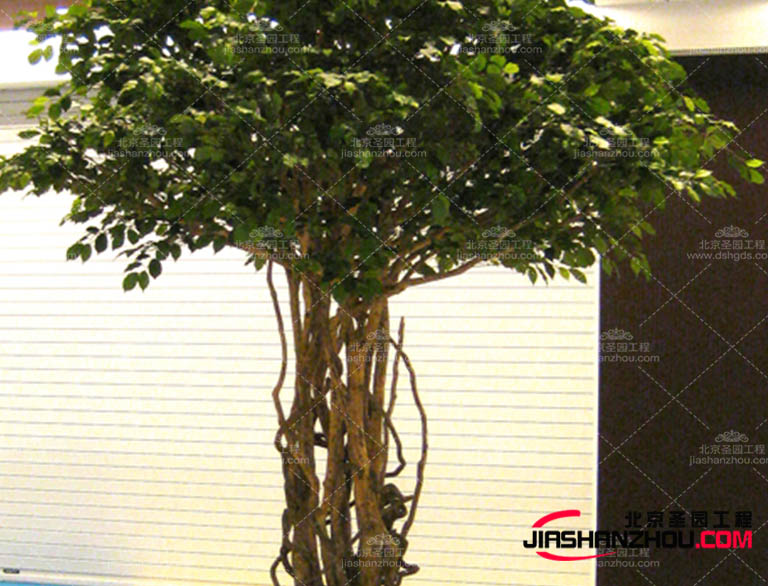 仿真树.jpg 仿真树