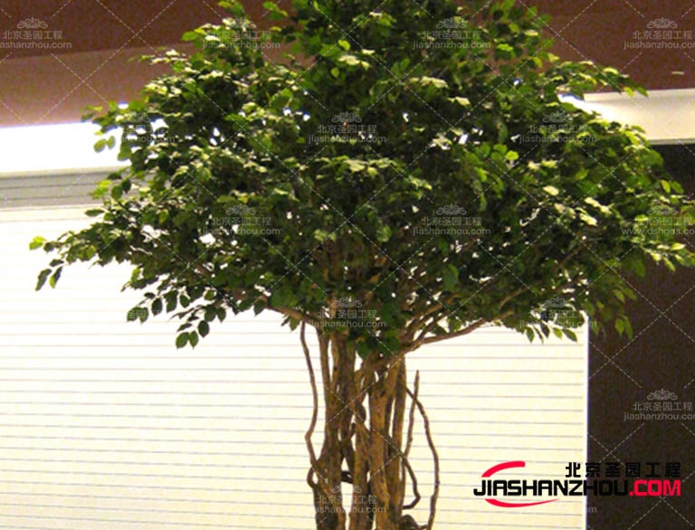 仿真树.jpg 仿真树