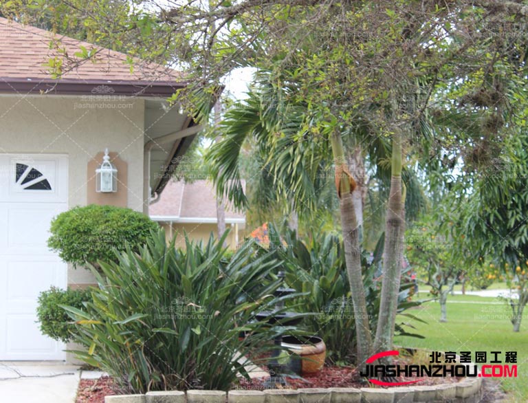 仿真树.jpg 仿真树