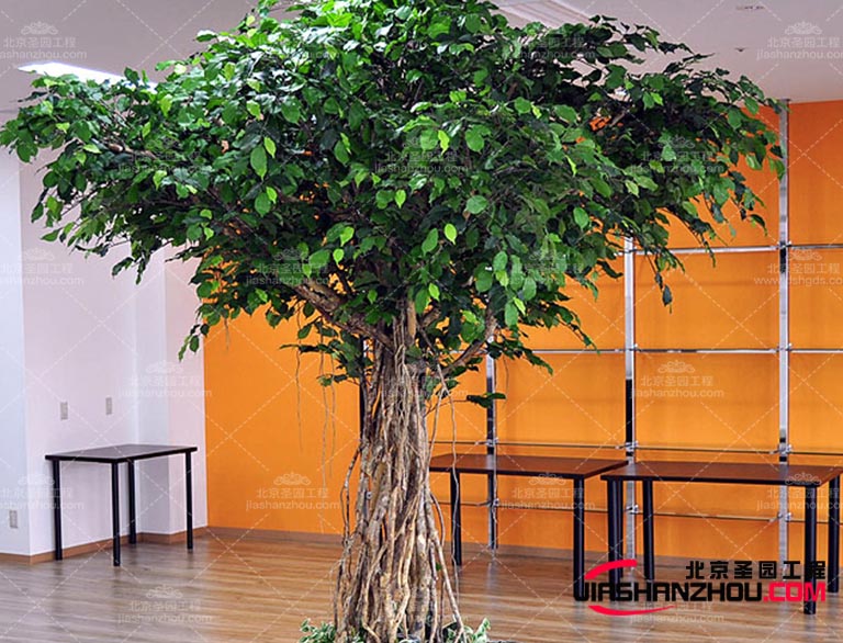 仿真树.jpg 仿真树