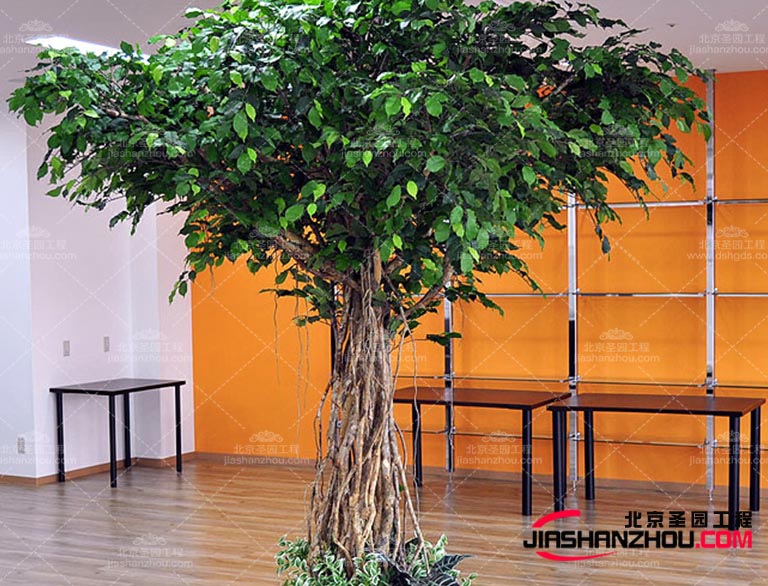 仿真树.jpg 仿真树