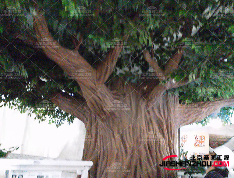 仿真树.jpg 仿真树