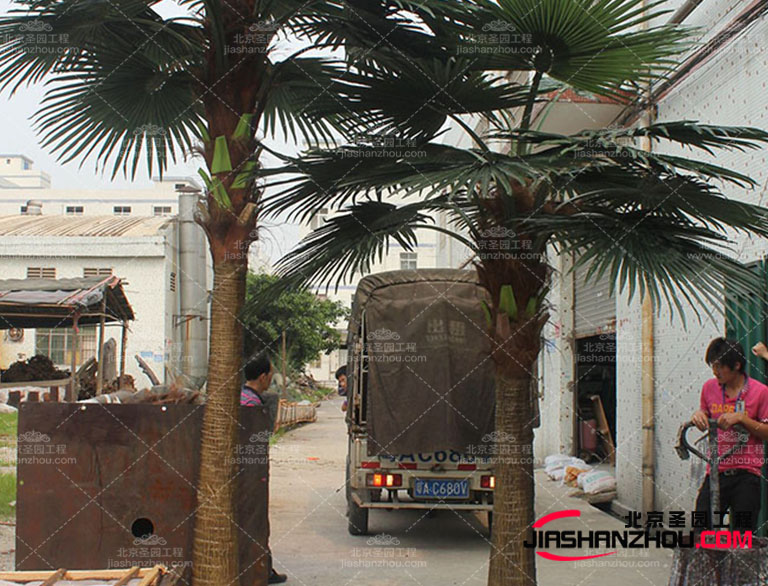 仿真树.jpg 仿真树