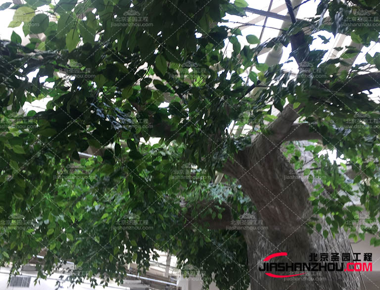 仿真树.jpg 仿真树.jpg