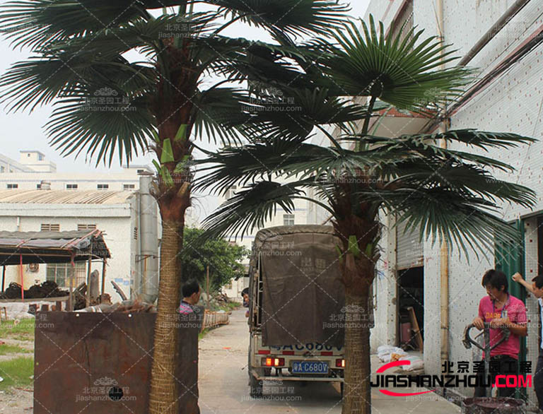 仿真树.jpg 仿真树.jpg