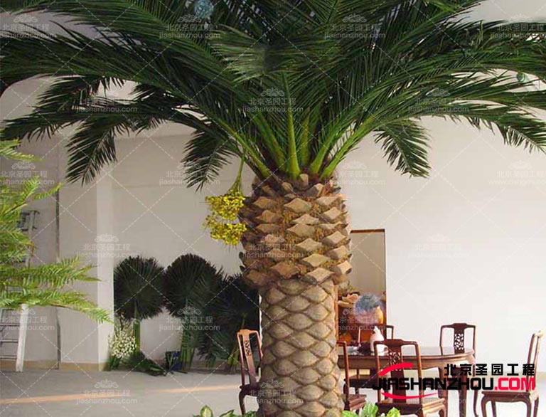 仿真树.jpg 仿真树.jpg