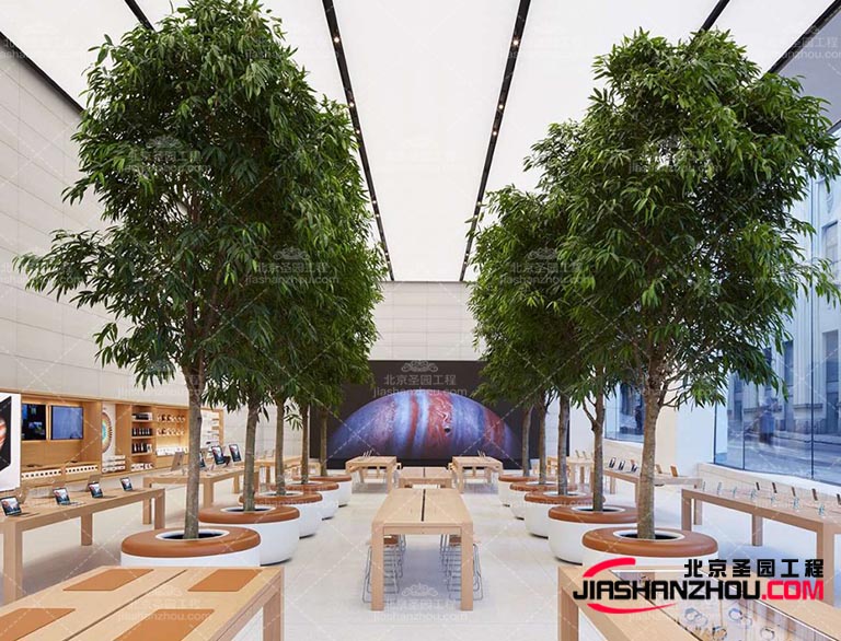 仿真树.jpg 仿真树.jpg