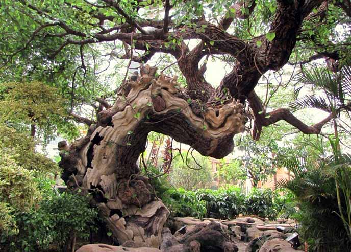 北京淡水河谷为云南大理古城制作的仿真古树等高端工程